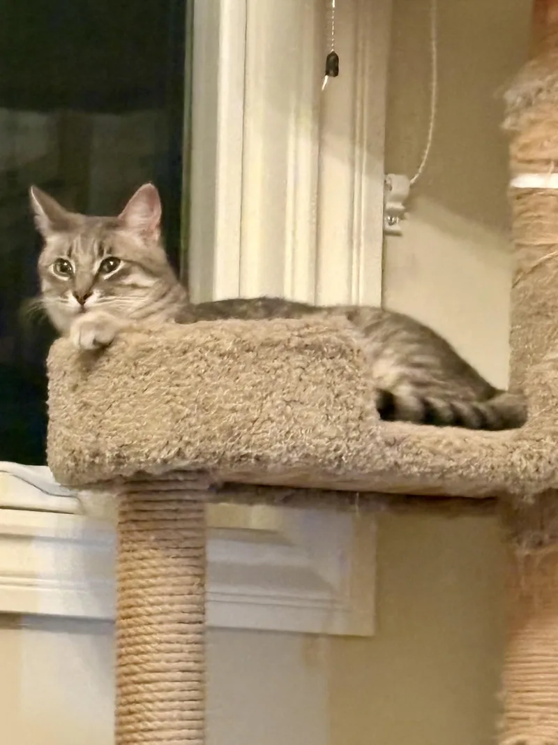 Missy & Mia thumbnail 5