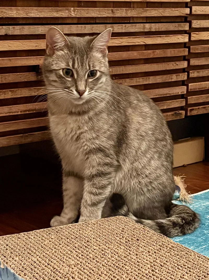 Missy & Mia thumbnail 6