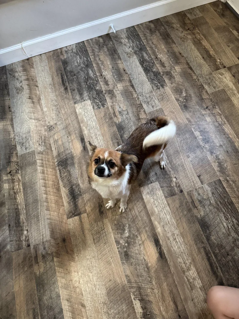 Benny
