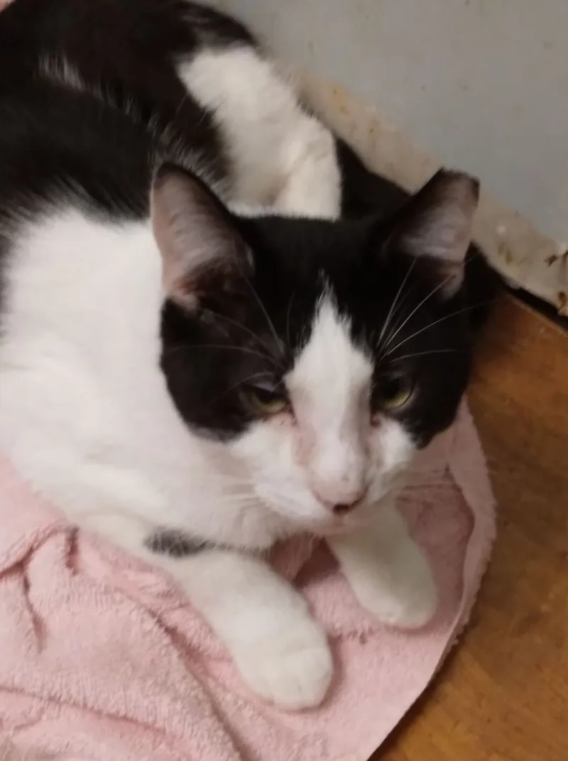 Chester Lee Richmond