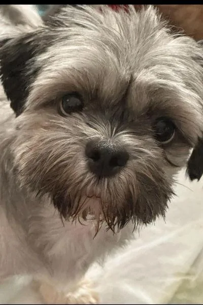 Mama Coco  And thumbnail 3