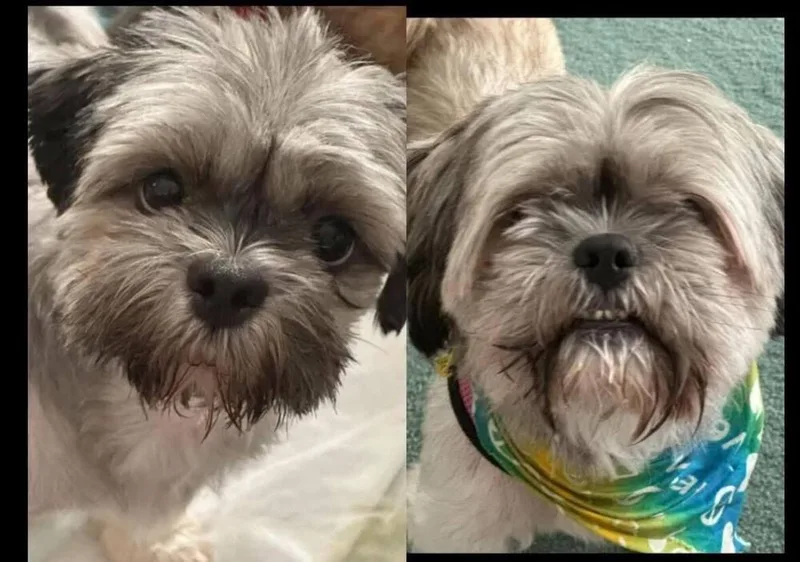 Mama Coco  And thumbnail 4