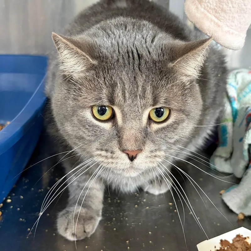 Sundance thumbnail 2