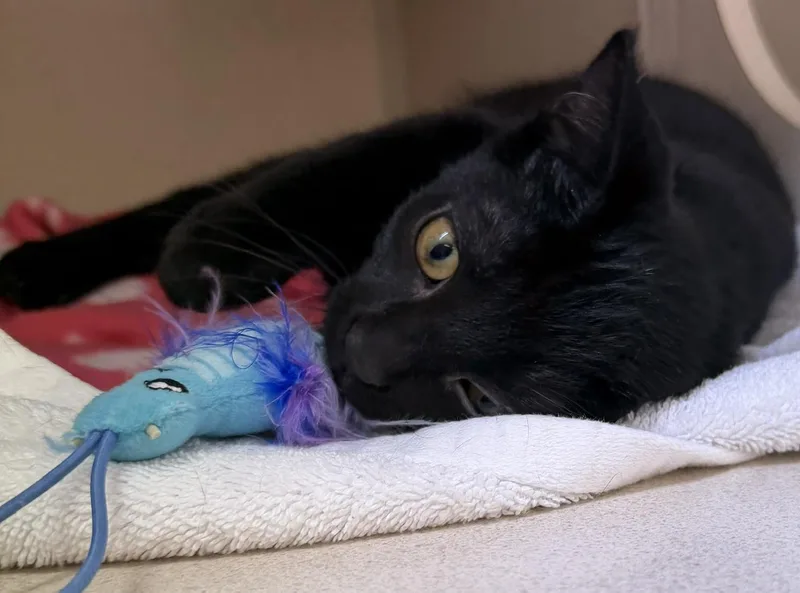 Bernie and Ralph thumbnail 5