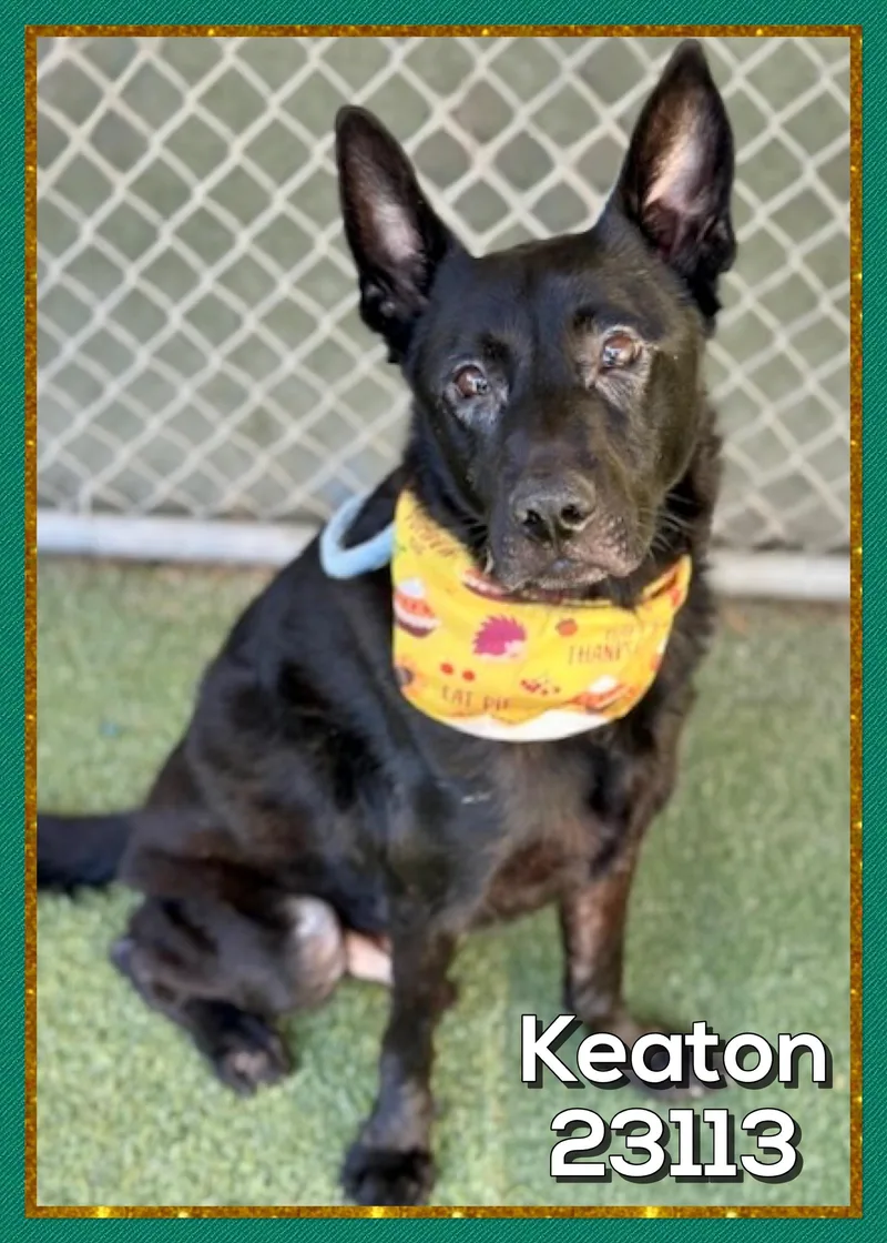 Keaton thumbnail 3