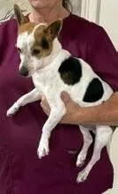 Spencer thumbnail 2