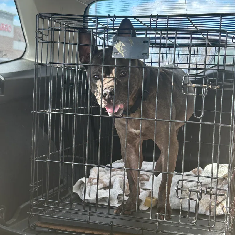 Princess Peach thumbnail 2