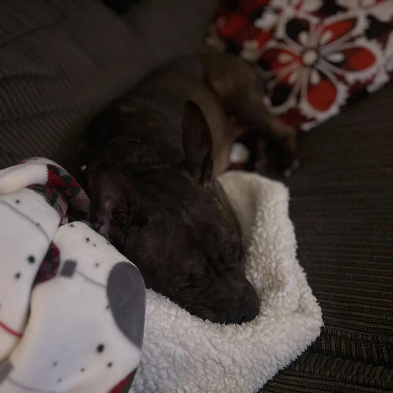 Princess Peach thumbnail 3