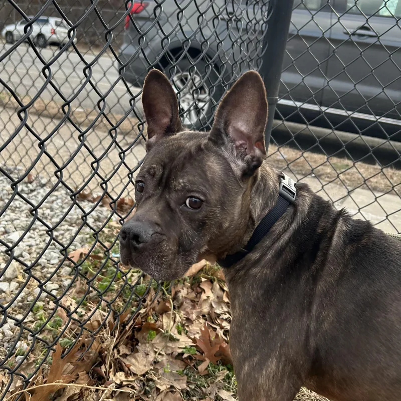 Princess Peach thumbnail 5