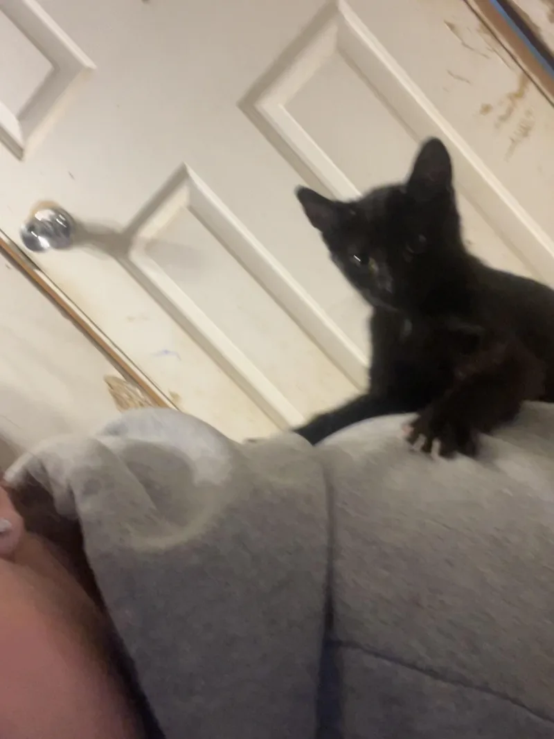 Habanero thumbnail 2