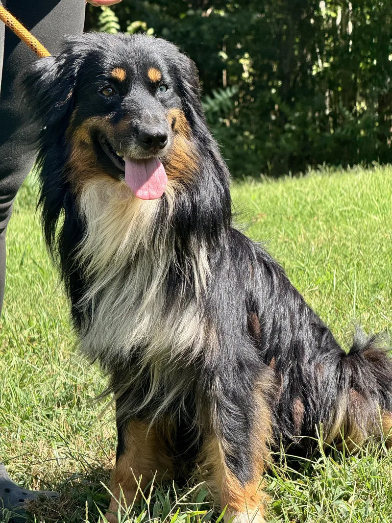 Benny