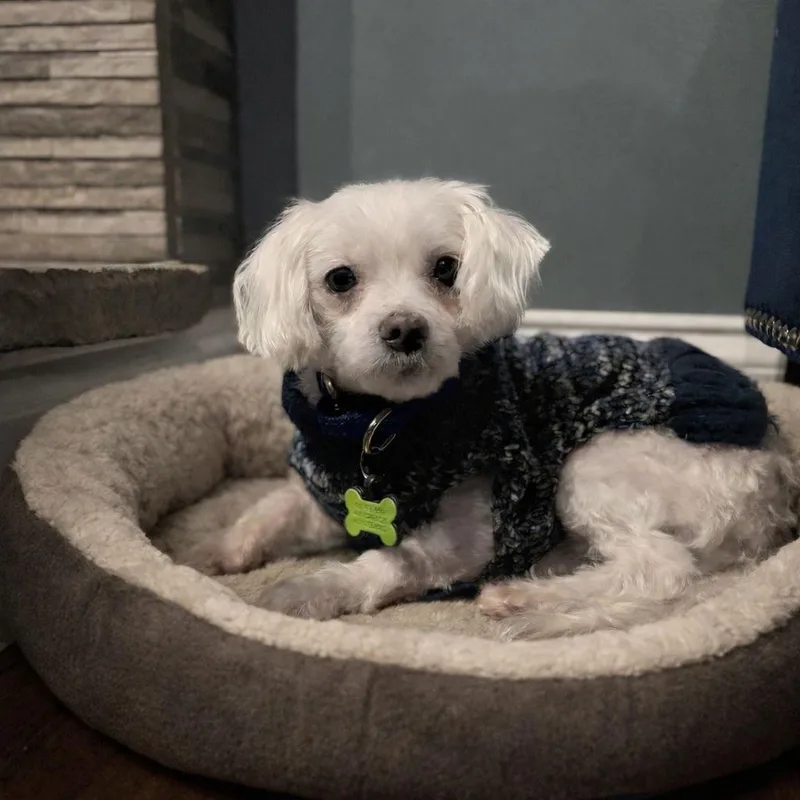 Boomer Gatlin thumbnail 2