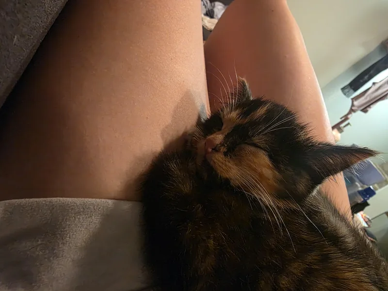 Doris thumbnail 6