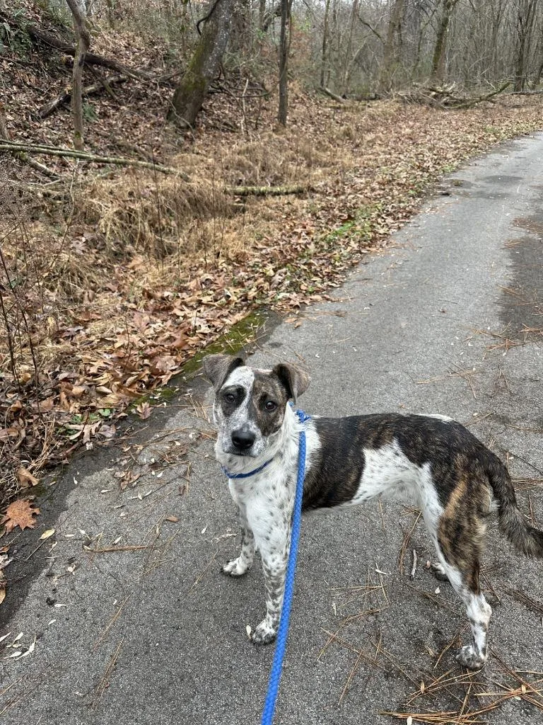 Little Bit thumbnail 2