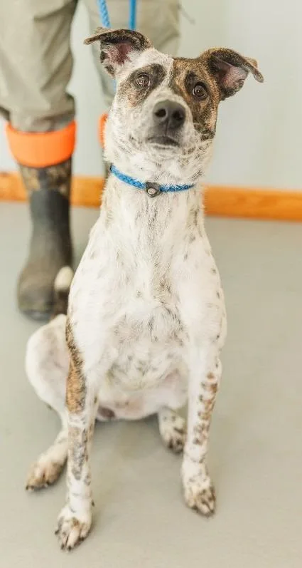 Little Bit thumbnail 3