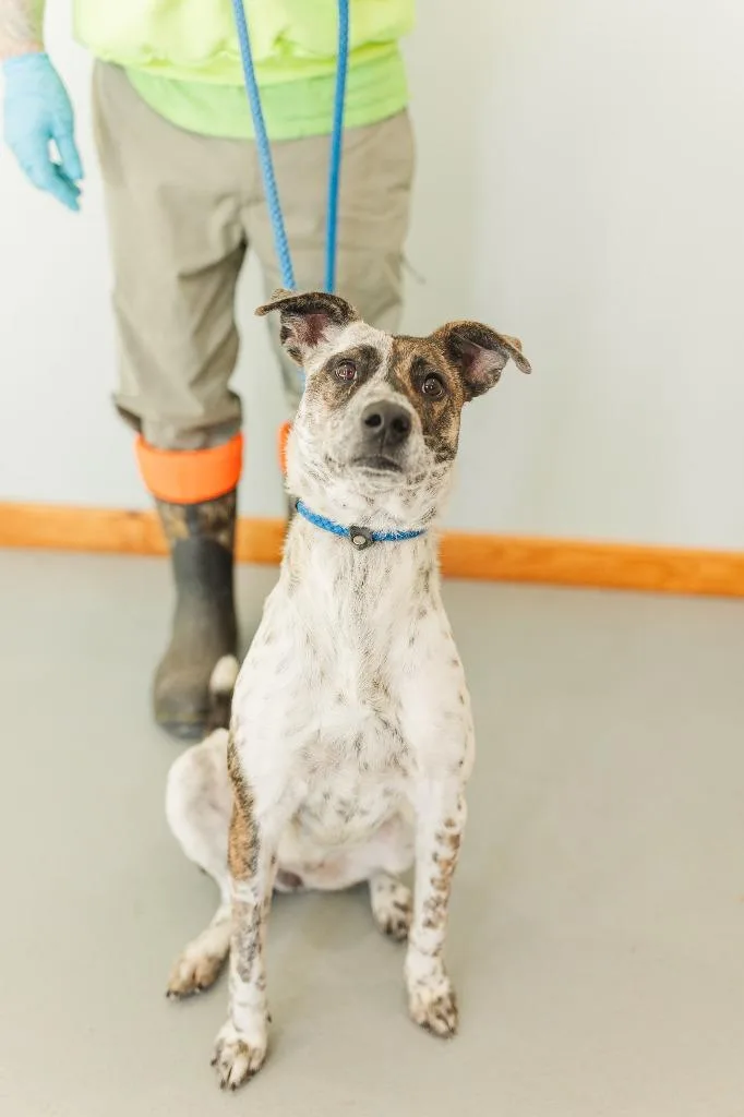 Little Bit thumbnail 4