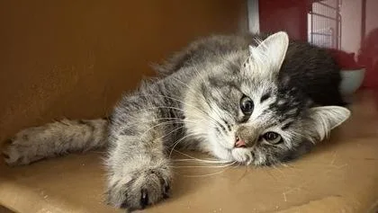 Jennifer thumbnail 2