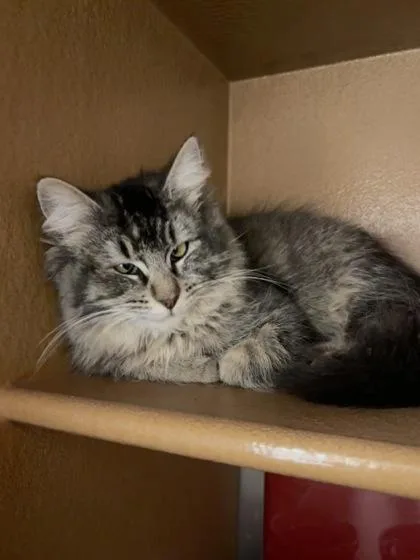 Jennifer thumbnail 3