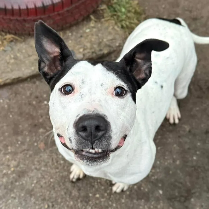 Esmeralda thumbnail 2