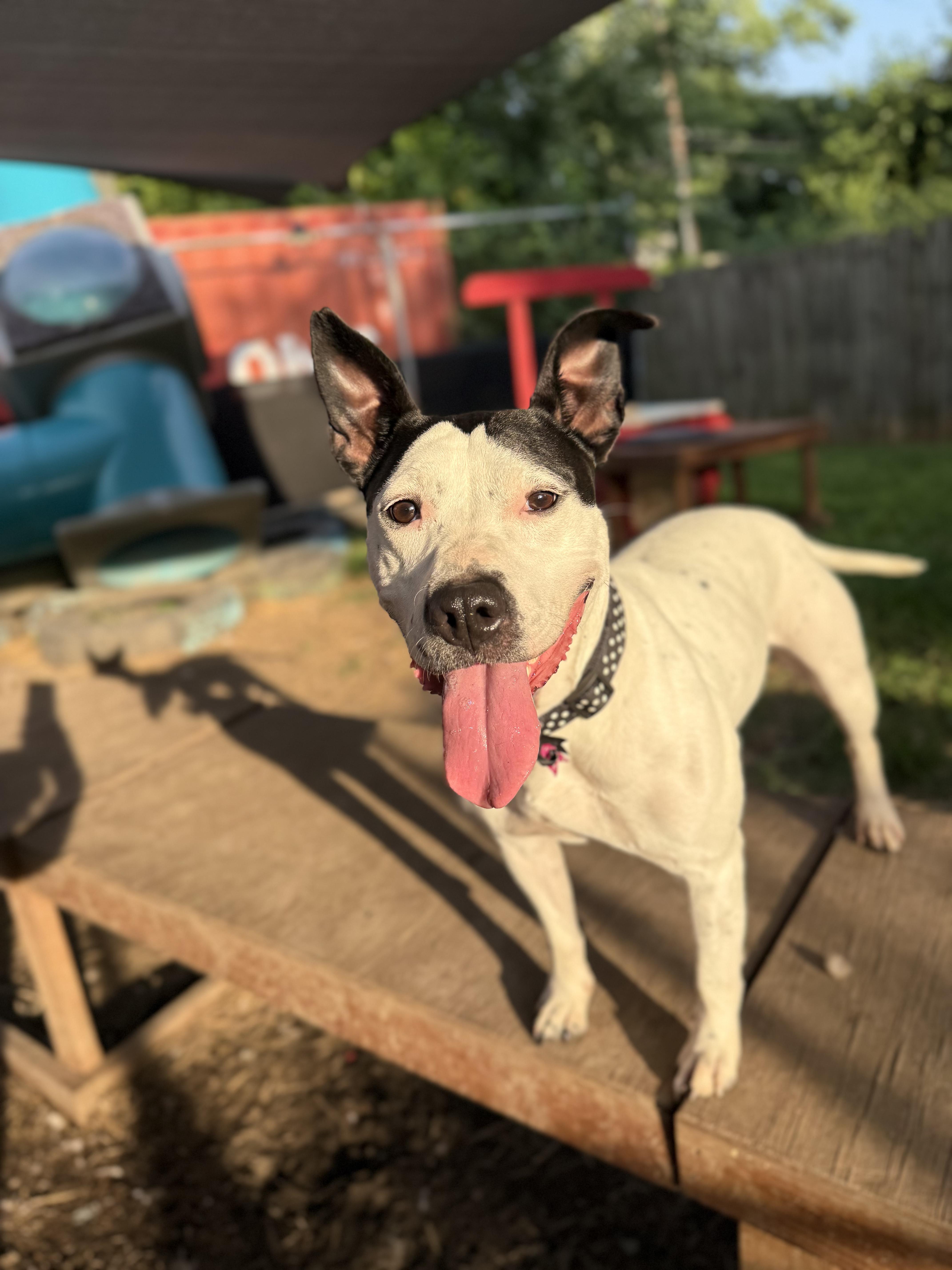 Esmeralda thumbnail 3