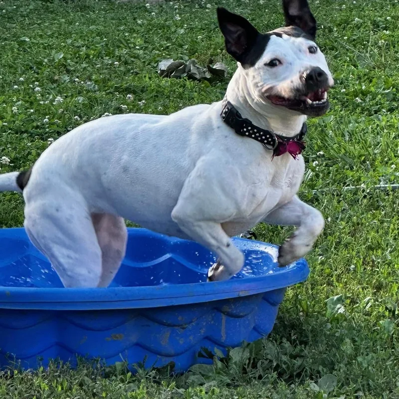 Esmeralda thumbnail 4