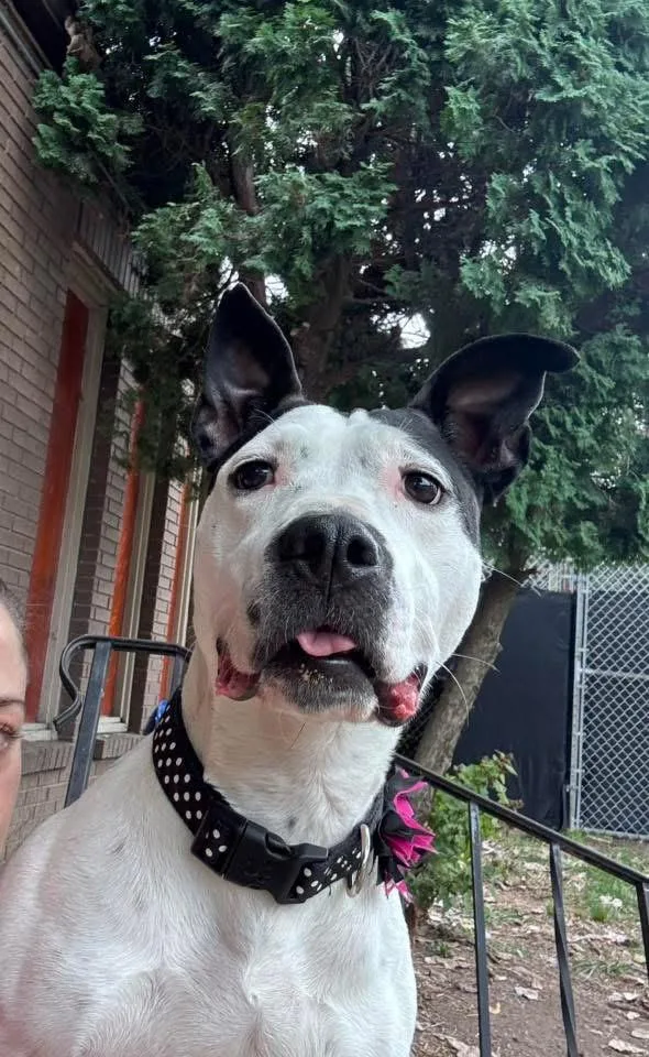 Esmeralda thumbnail 5