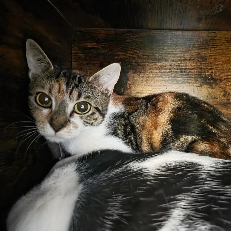 Stephanie thumbnail 2