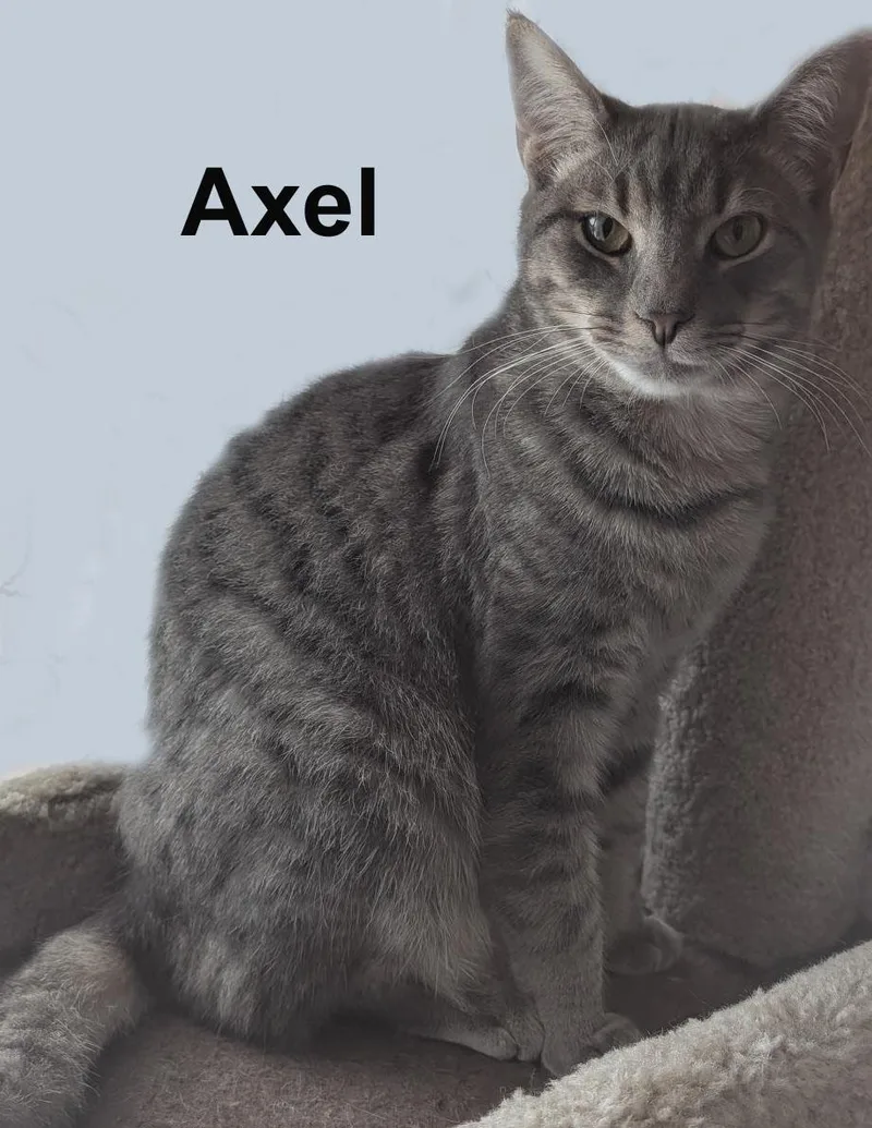 Summer And Axel Dur. thumbnail 2