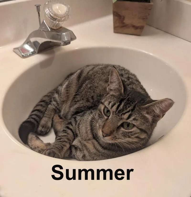 Summer And Axel Dur. thumbnail 4