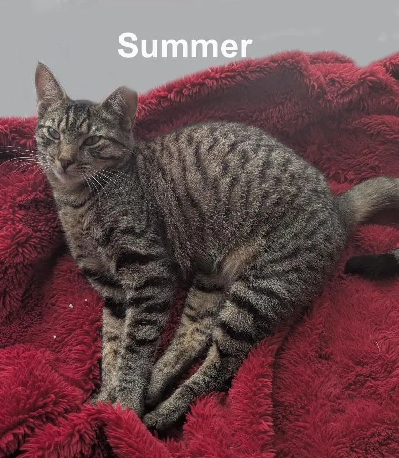 Summer And Axel Dur. thumbnail 5