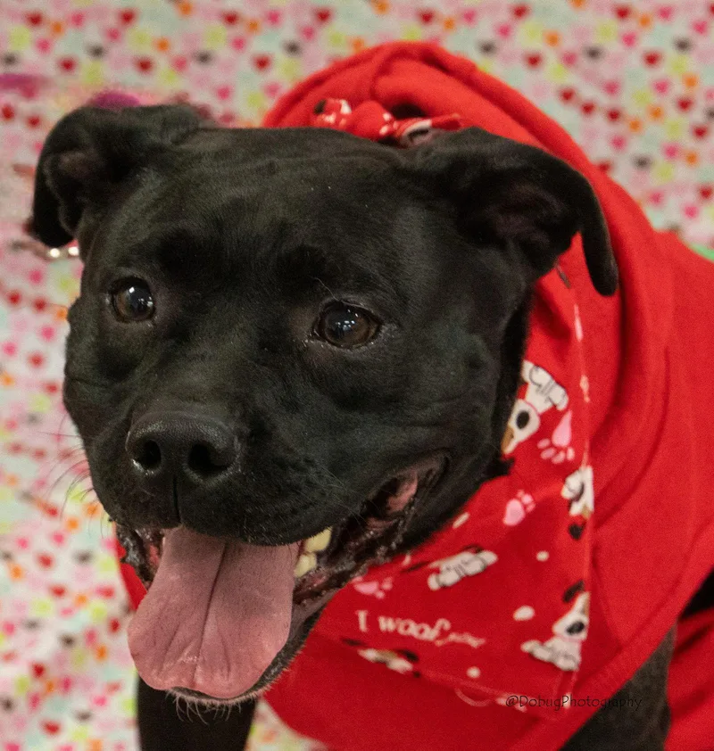 Mazie Fka Ducky thumbnail 2