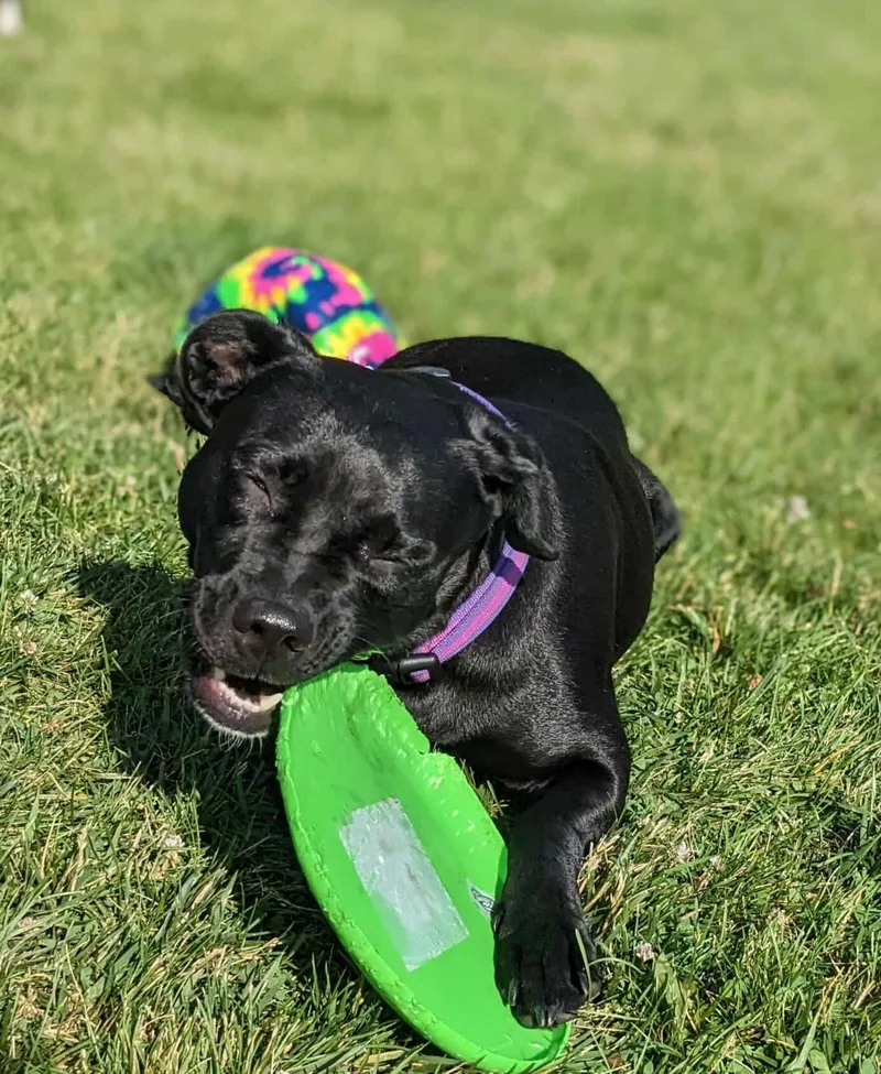 Mazie Fka Ducky thumbnail 3