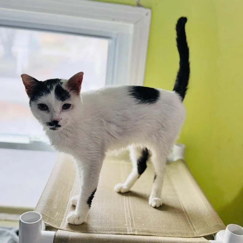 Katy Purry thumbnail 2