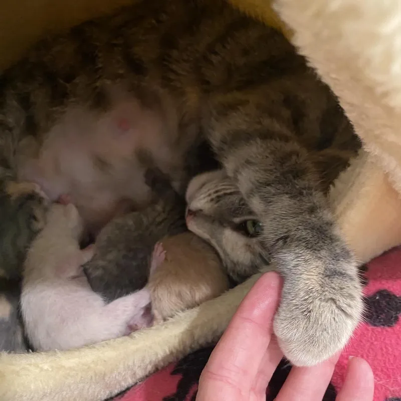 Tiny thumbnail 2