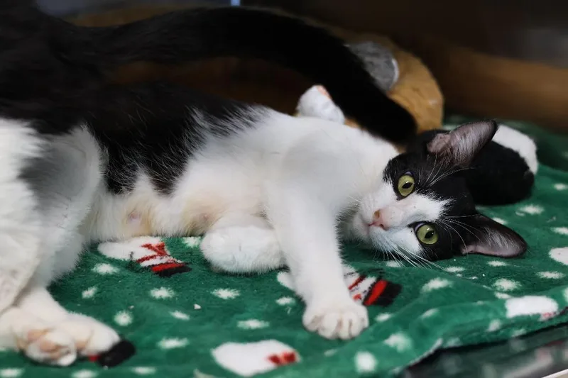 Francille thumbnail 2