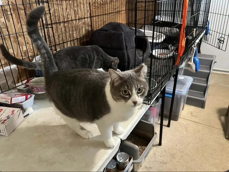 Santorini thumbnail 2