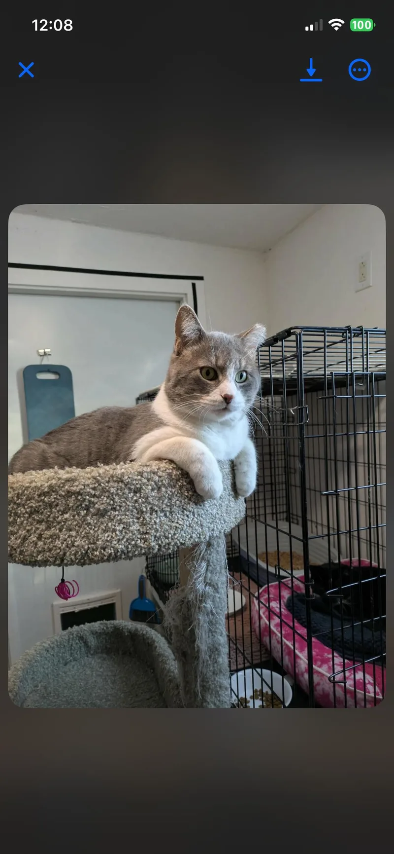 Santorini thumbnail 4