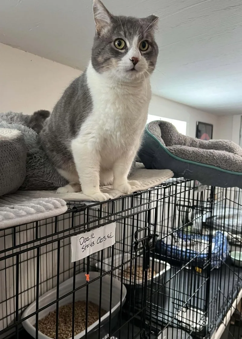 Santorini thumbnail 5