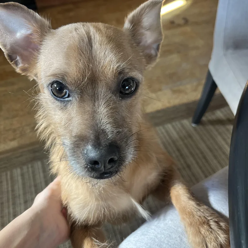 Max