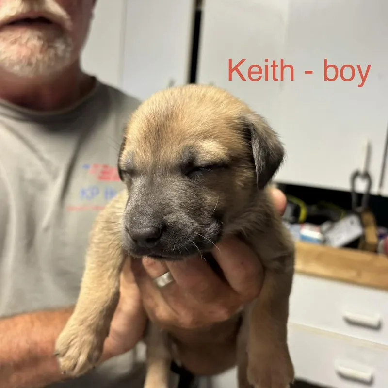 Keith thumbnail 4
