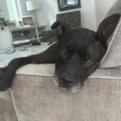Angie thumbnail 3