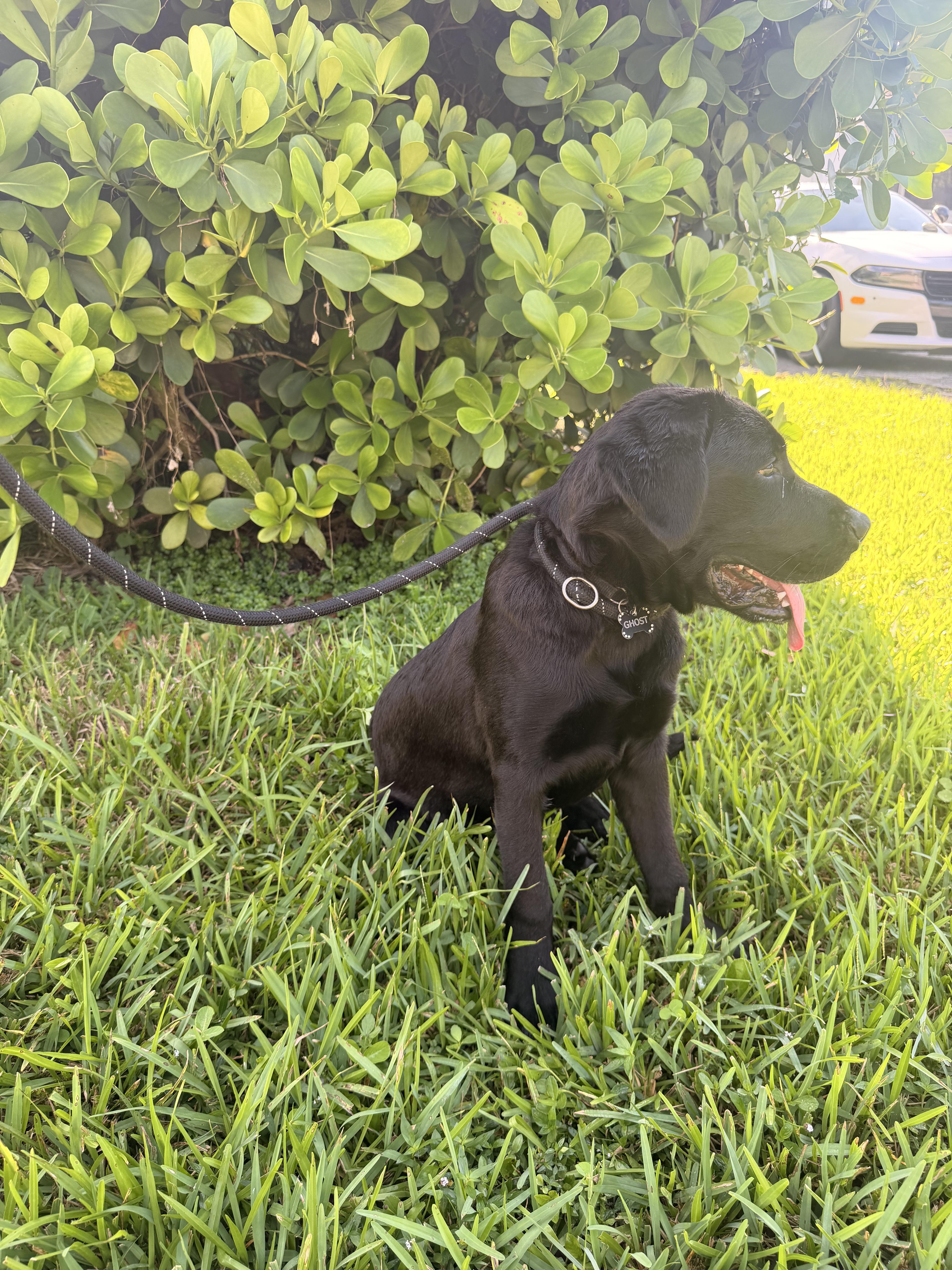 Romeo