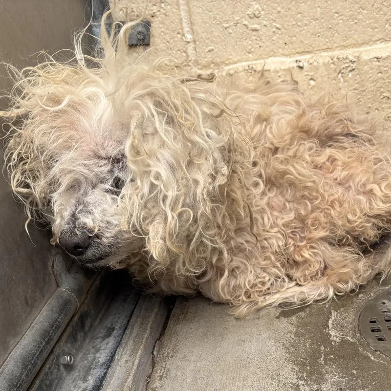 Doc Ricketts thumbnail 2