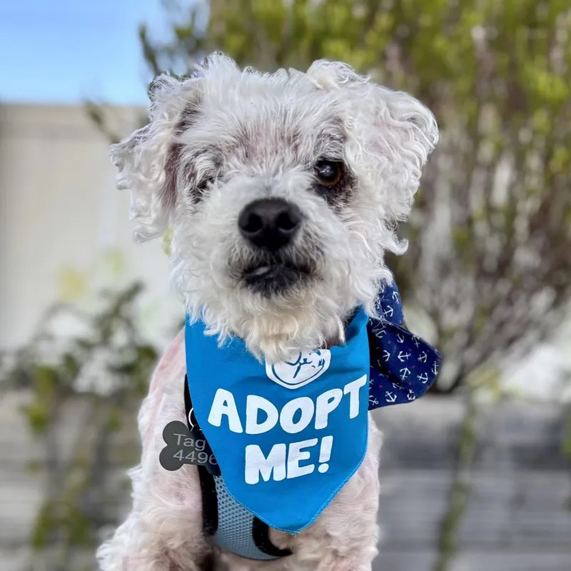 Doc Ricketts thumbnail 3