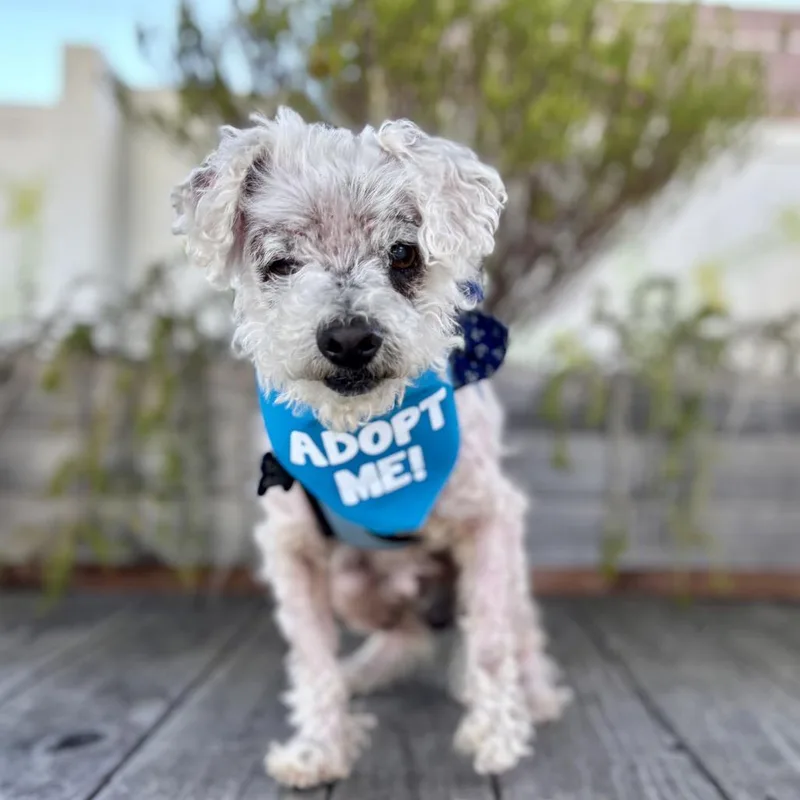 Doc Ricketts thumbnail 4