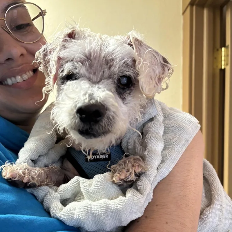 Doc Ricketts thumbnail 5