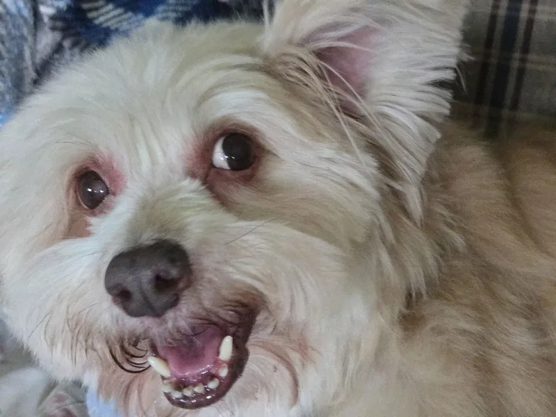 Rafael ~ thumbnail 2