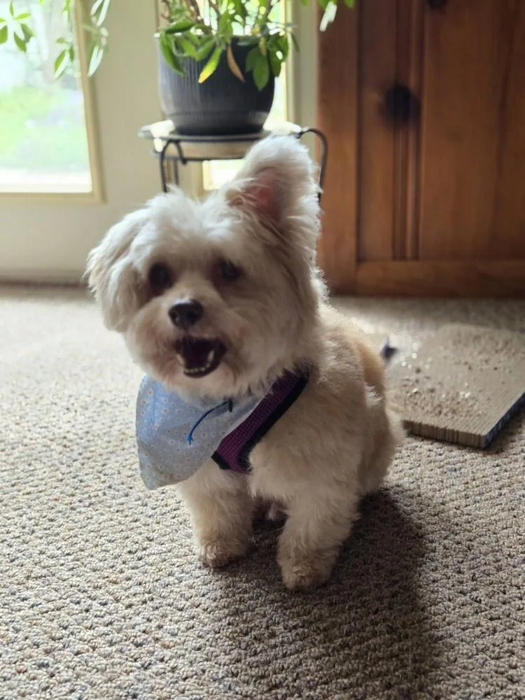 Rafael ~ thumbnail 3