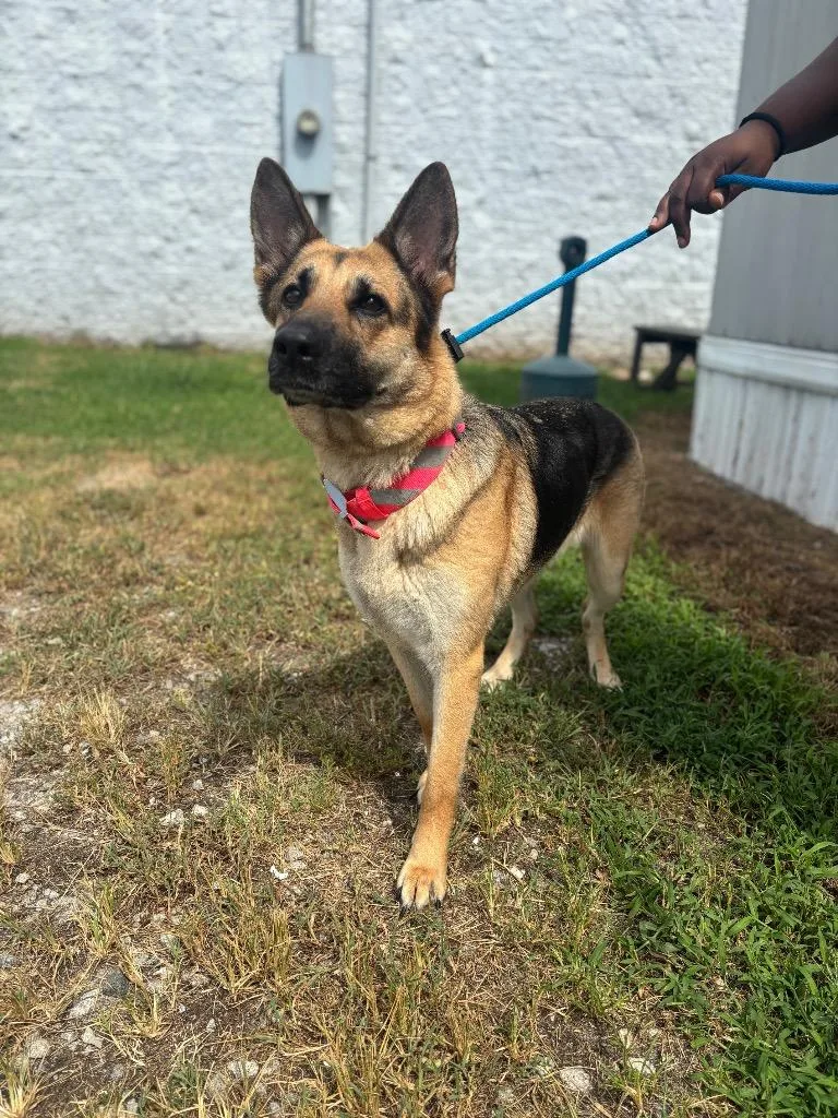 Kiara