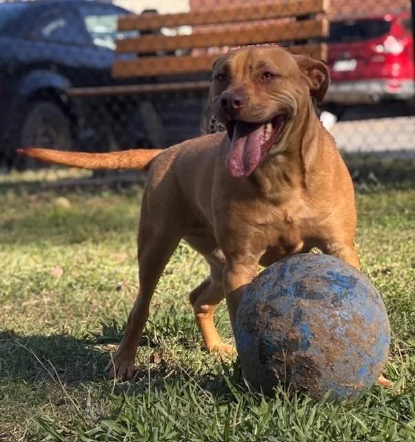 Savannah thumbnail 2